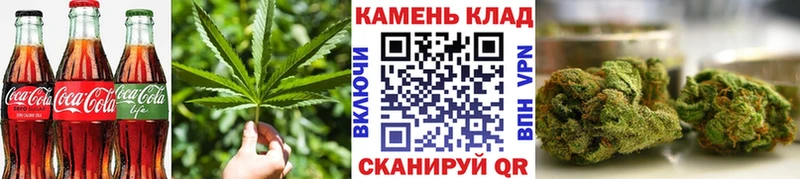 где купить наркотик  Гусев  Cannafood конопля 