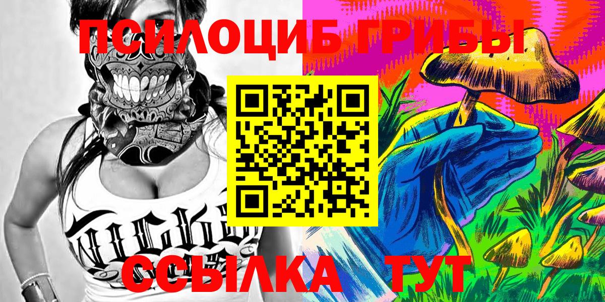 Гусев  Псилоцибиновые грибы мухоморы  Вход с VPN 