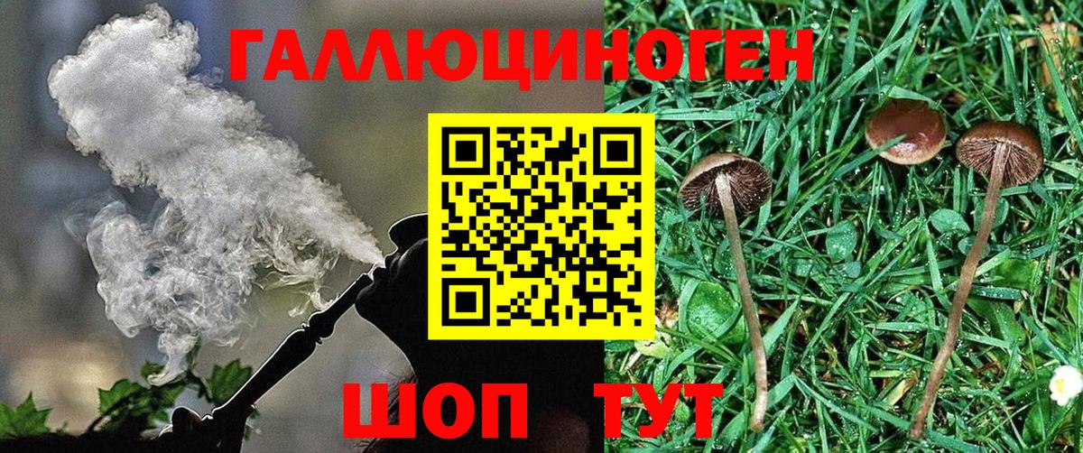 что такое   Гусев  Псилоцибиновые грибы мицелий 