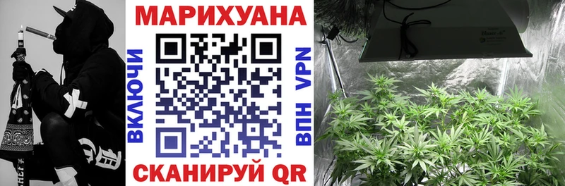 Конопля VHQ  Гусев 