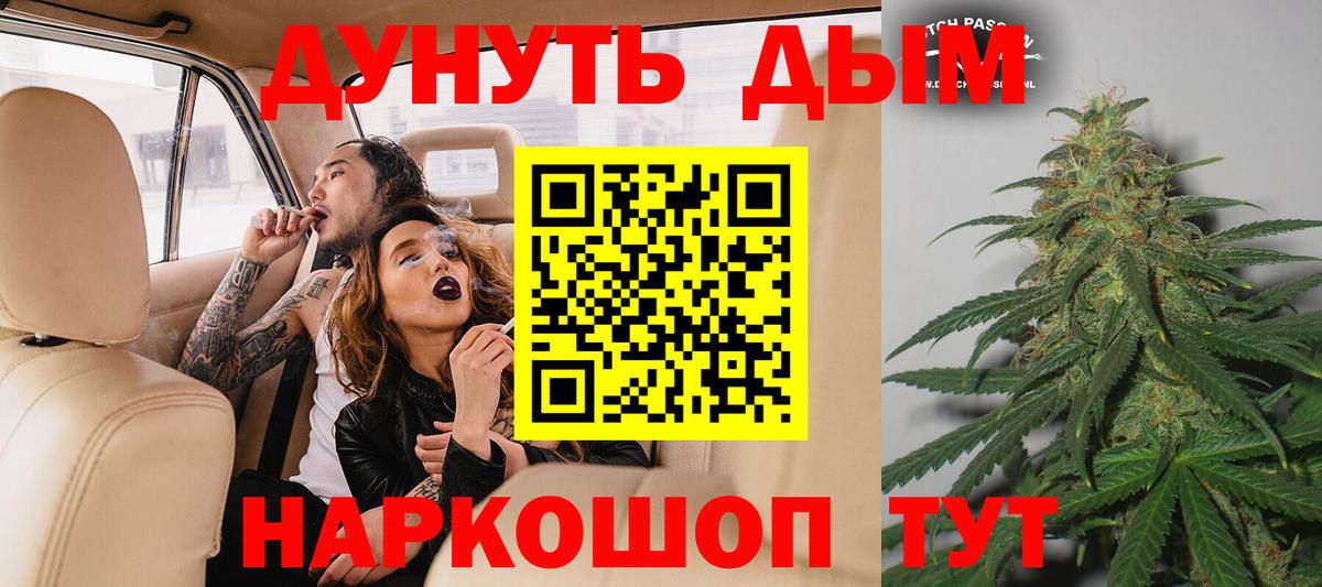 Конопля конопля Гусев